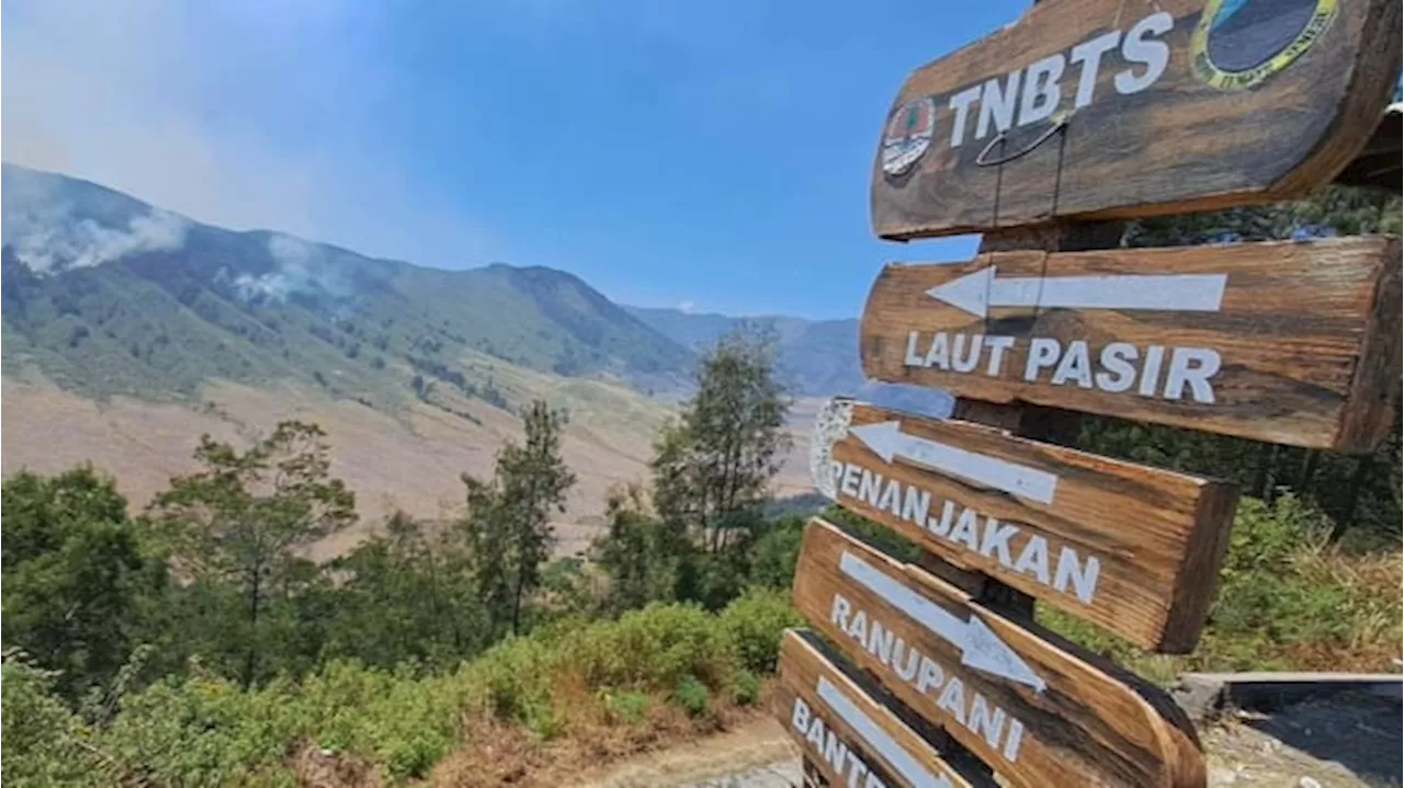 Gunung Semeru Erupsi 14 Kali dalam Sehari, Masyarakat Diimbau Tetap Siaga