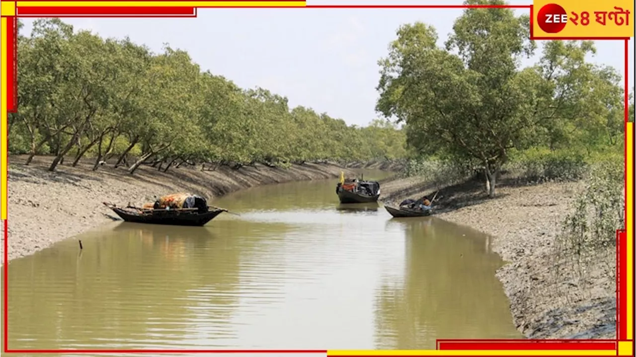 Sundarbans: সুন্দরবনে গুলির লড়াই! চোরাশিকারিদের গুলিতে খুন বনকর্মী...