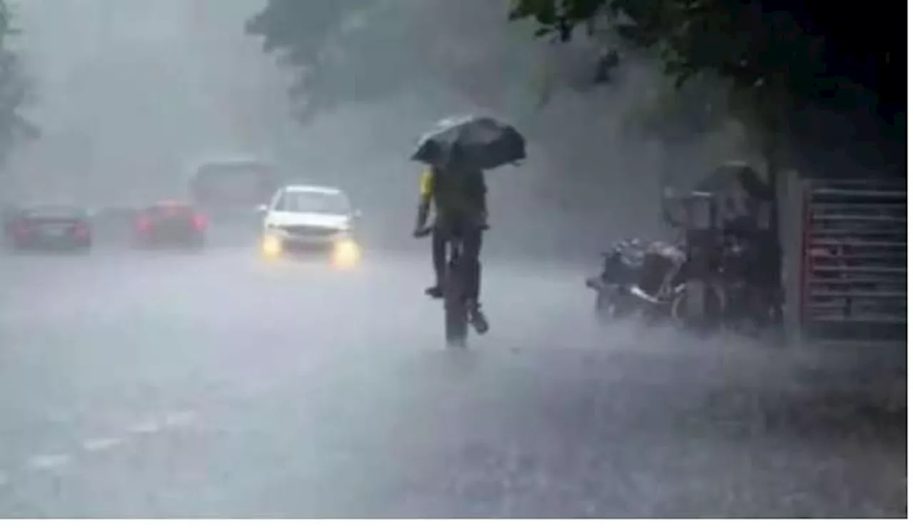 Telangana Rain Alert: హైదరాబాద్ సహా తెలంగాణలో మోస్తరు నుంచి భారీ వర్షాలు, ఎల్లో అలర్ట్ జారీ ఎక్కడంటే