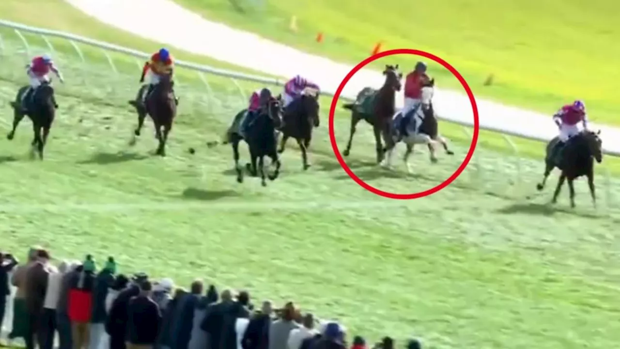 Warrnambool clerk of the course interrupts race in chaotic bid to stop riderless horse