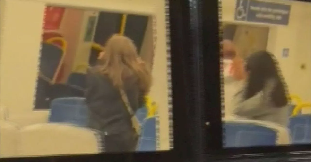 South Australian mum confronts gang of school girls after daughter's alleged train attack