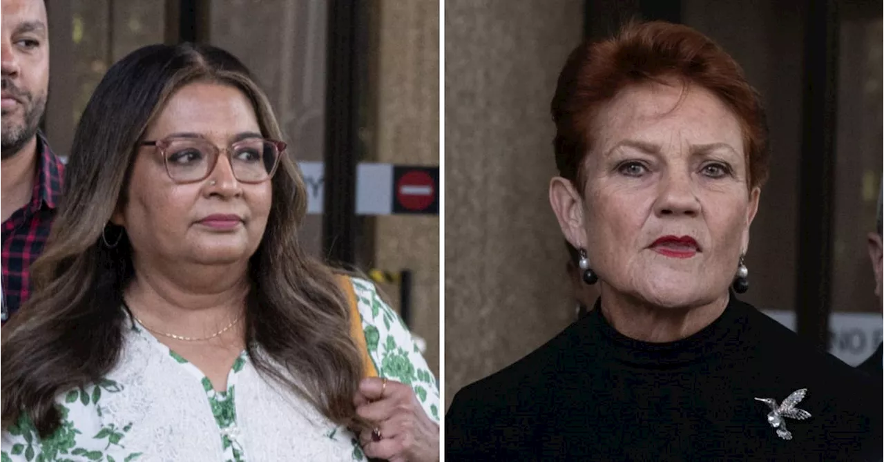 'Ungrounded': Pauline Hanson defends attack on Greens senator