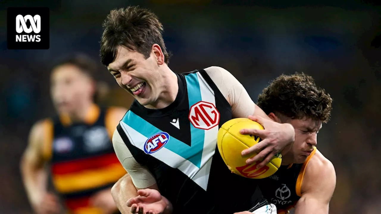 AFL round eight Showdown Adelaide Crows vs Port Adelaide live updates — blog, scores and stats from Adelaide Oval