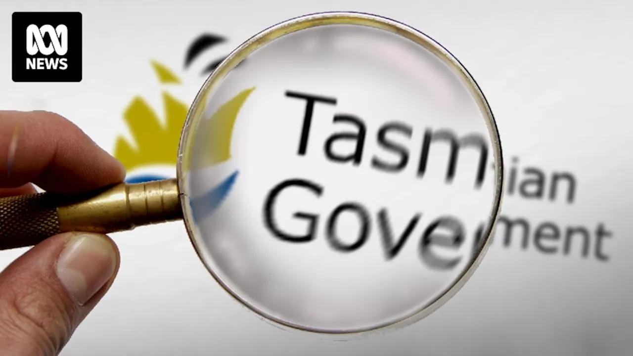 Two integrity investigations into Tasmanian MPs have been going for almost two years, but little information has been made public