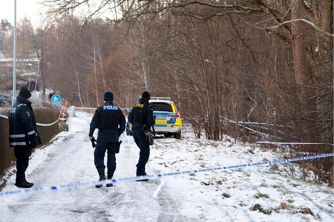 Attackerade poliser med svärd