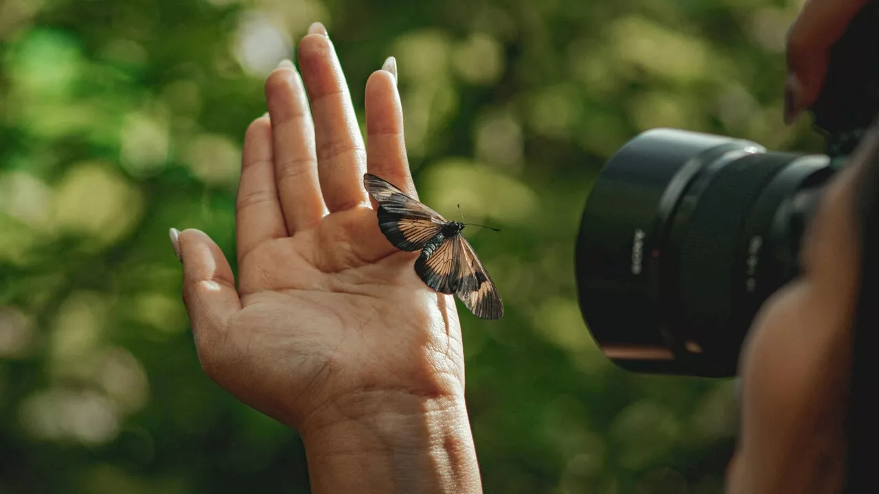 Cette Agglomération de Seine-et-Marne lance un grand atlas participatif de la biodiversité