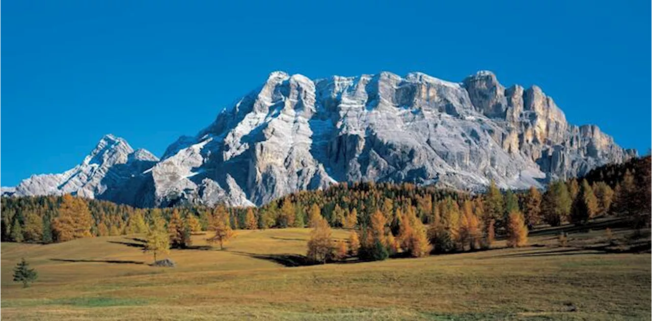 'Insieme per la natura' nella Giornata Europea dei Parchi