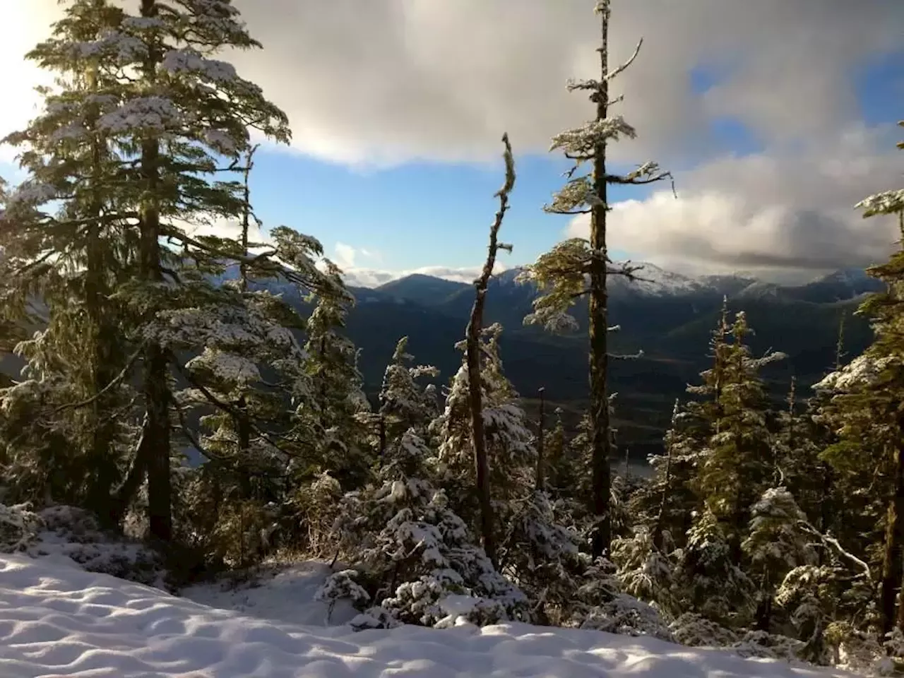 U.S. Forest Service seeks public input in revising its long-term plan for the Tongass