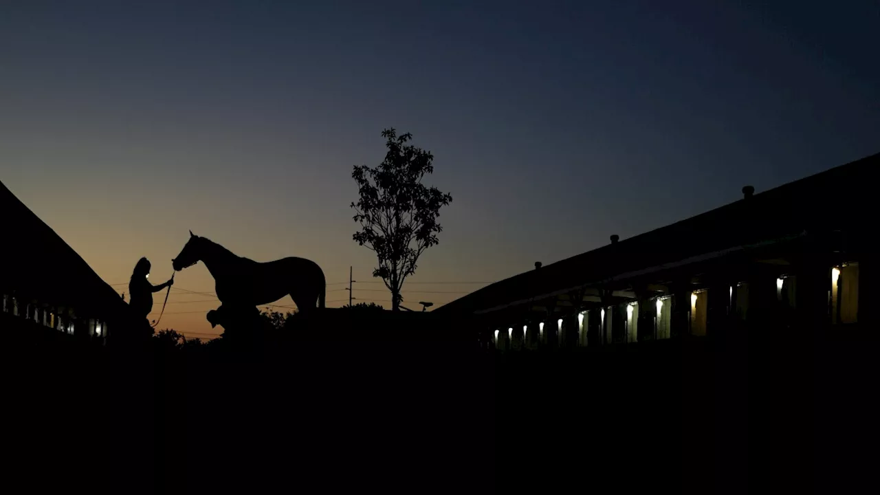 2 horses fall and unseat their jockeys in 2nd race at Churchill Downs