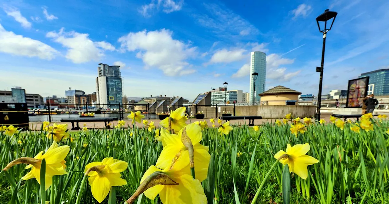 Met Office confirms NI's warmest day of the year so far