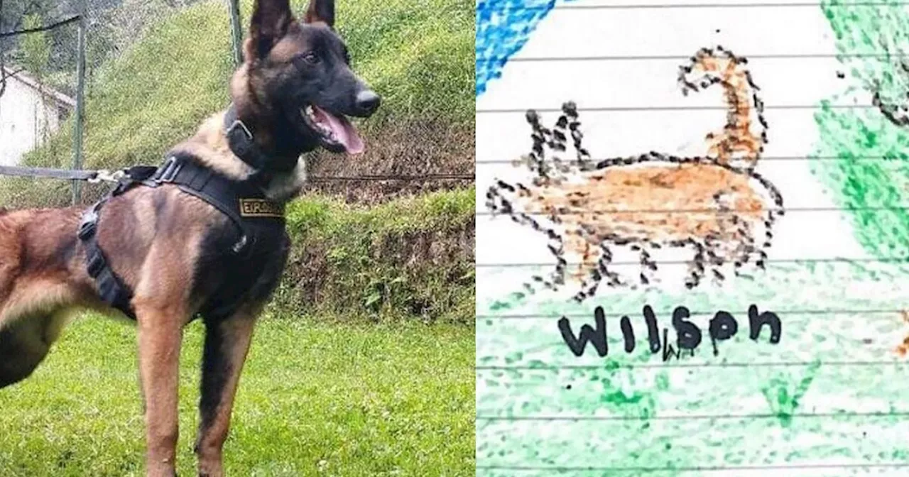 ¿Por qué los hermanos Mucutuy dibujaron un perro si Wilson no estuvo con ellos?