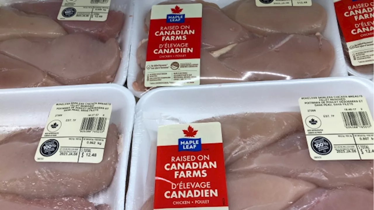 Maple Leaf Foods swings back to Q1 profit as pork markets show signs of improvement