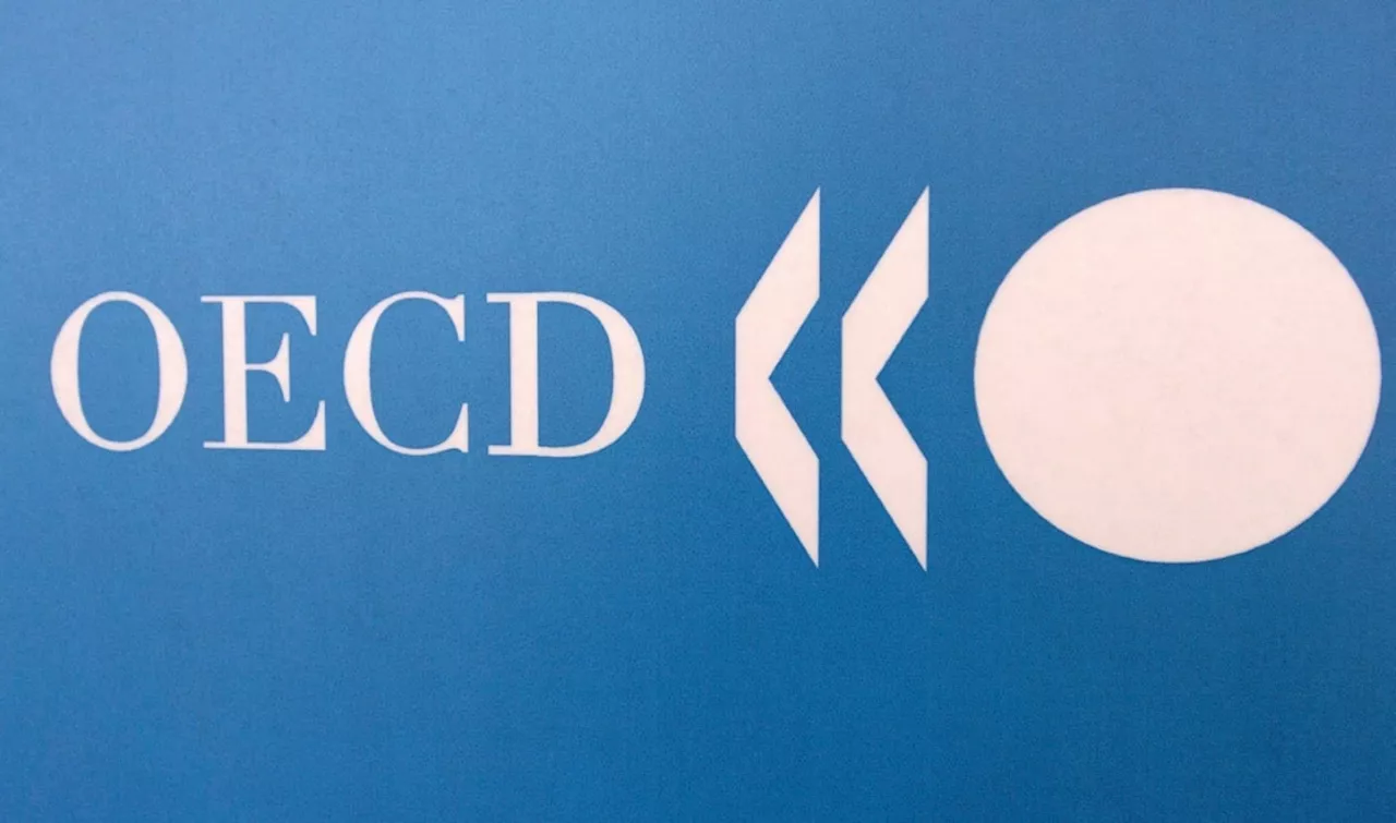 OECD lifts 2024 growth forecasts, driven by US