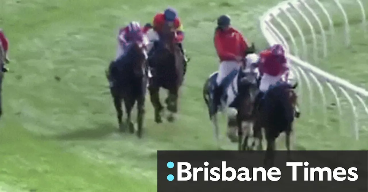 ‘I’ve never seen that happen’: Shock obstacle bobs up in Warrnambool jumps race