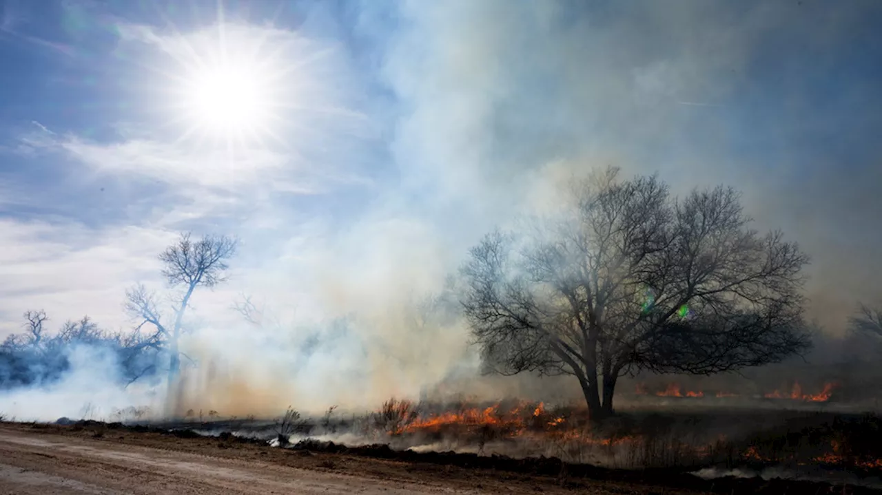 Decayed power pole sparked largest wildfire in state history, Texas House committee says