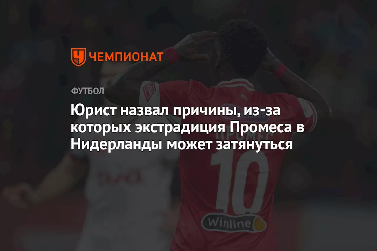 Юрист назвал причины, из-за которых экстрадиция Промеса в Нидерланды может затянуться