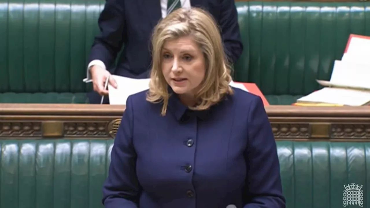 Penny Mordaunt denies plotting to oust Rishi Sunak amid dire polls