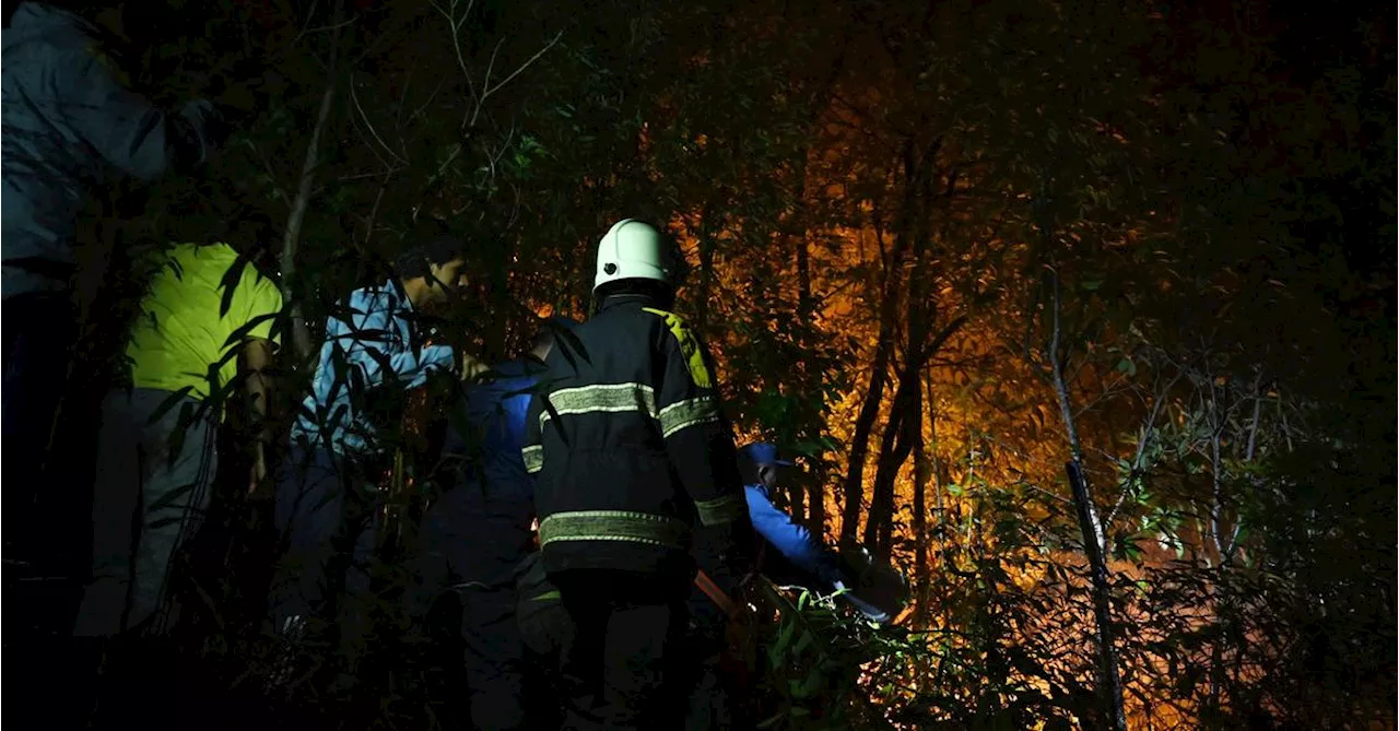 Feuerwehr in Nepal kämpft gegen Waldbrand bei Kathmandu