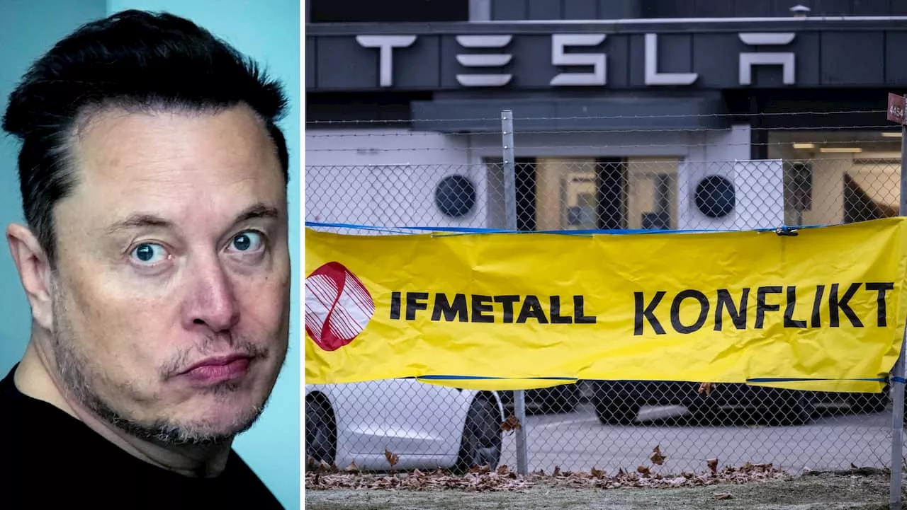 Nya smällen mot Tesla drabbar besiktningarna