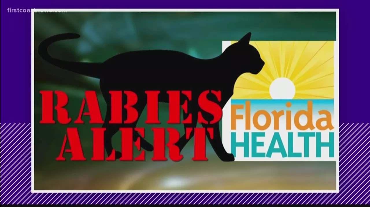 Rabid cat prompts Westside Jacksonville rabies alert