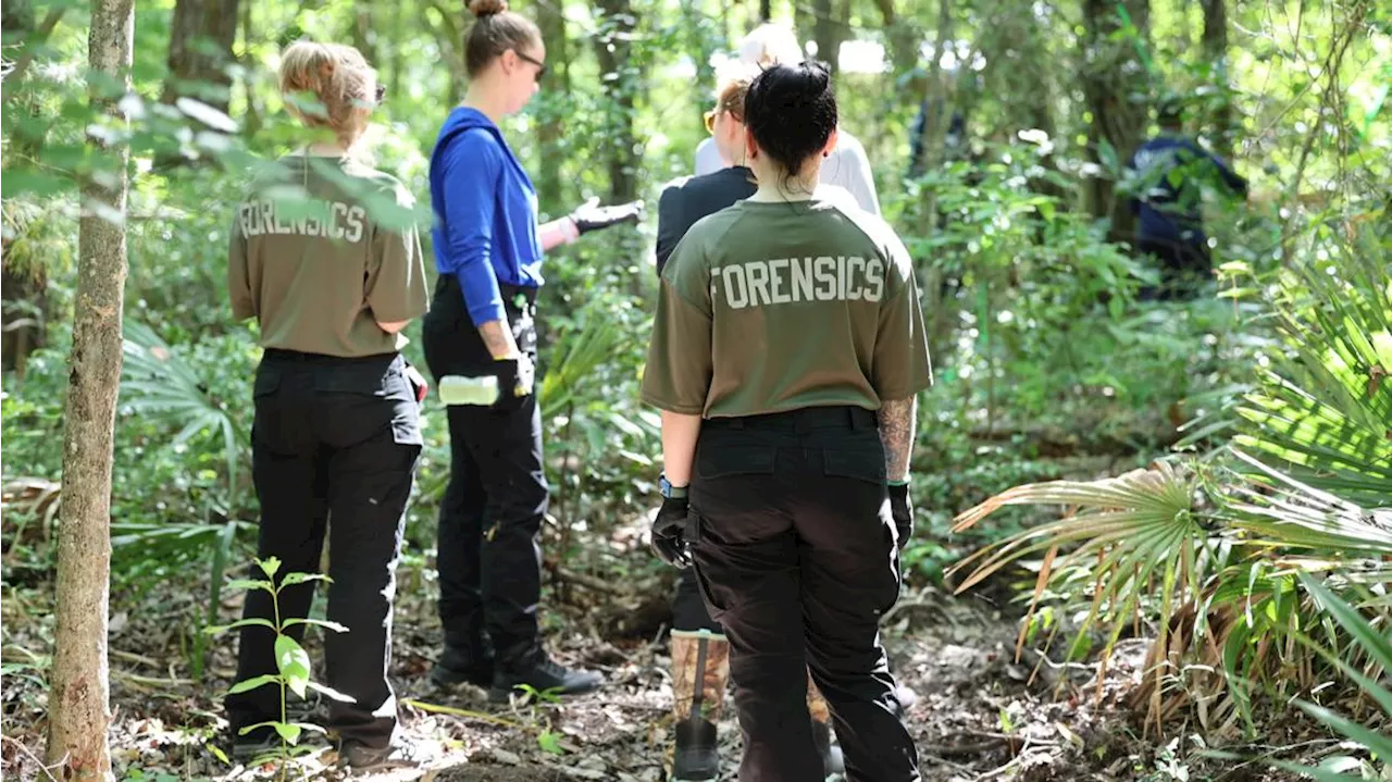 St. Johns County Sheriff's Office continues hunt for human skeletal remains in Flagler Estates