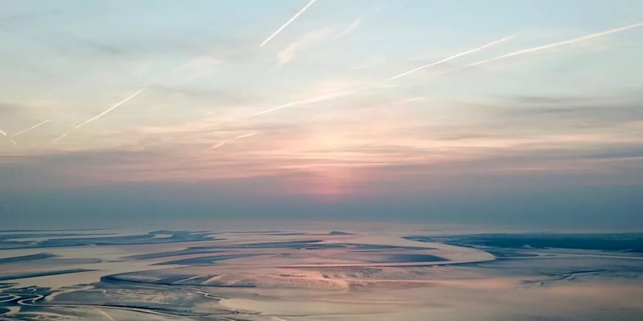 Nordsee: „Beispiellose Veränderungen“ im Wattenmeer alarmiert Forscher