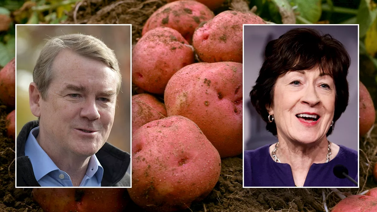 Potatoes retain USDA classification as vegetable, not grain, in bipartisan effort