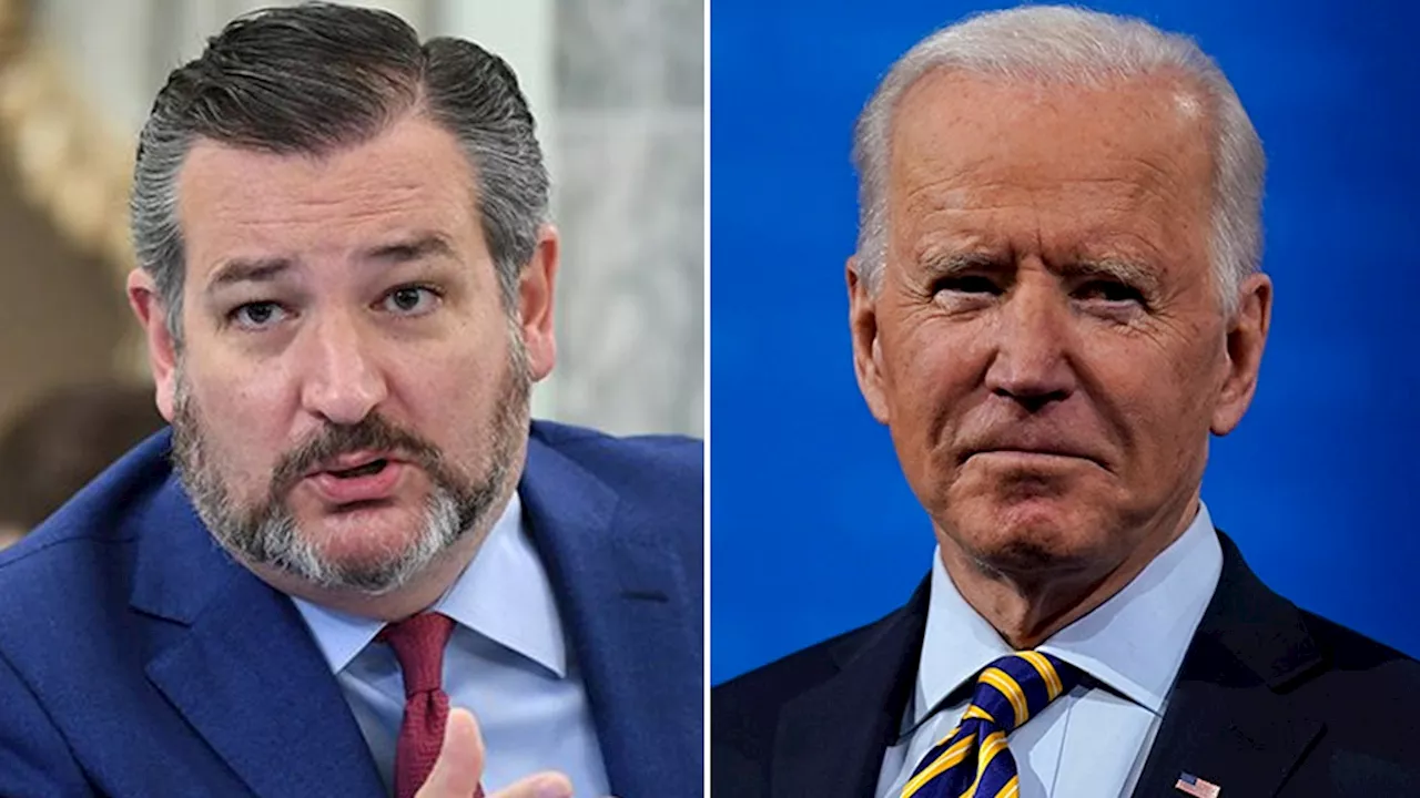 Ted Cruz unleashes on Biden, Dems over 'repulsive' protests, says US lacking 'real presidential leadership'