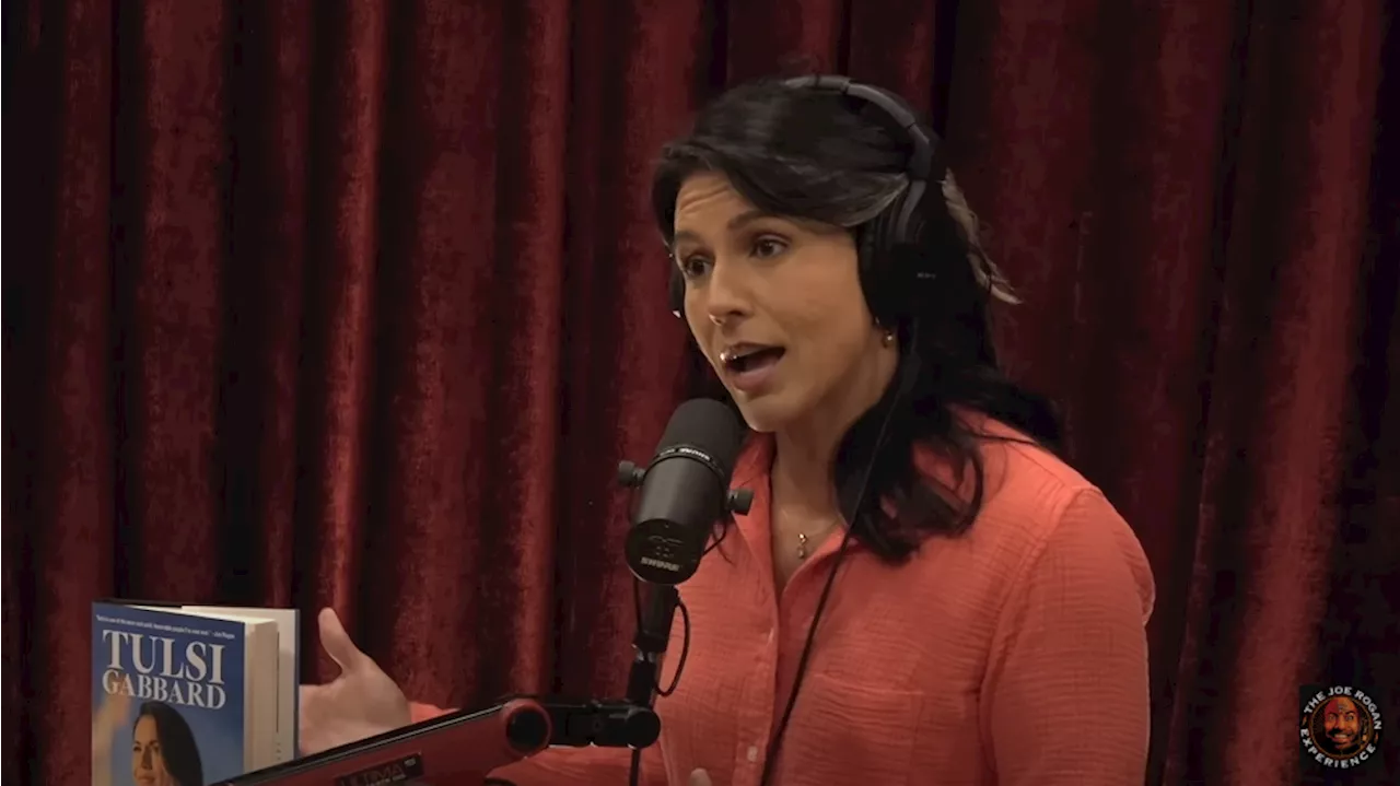 Tulsi predicts doomsday scenario for freedom if Biden admin reelected, says this future 'cannot be allowed'