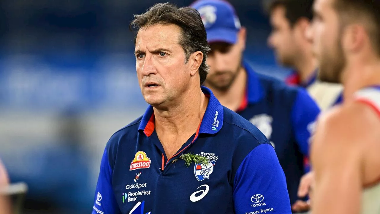 Dogs coach calls out Bomber’s ‘bizarre’ claims that left many ‘extremely alarmed’