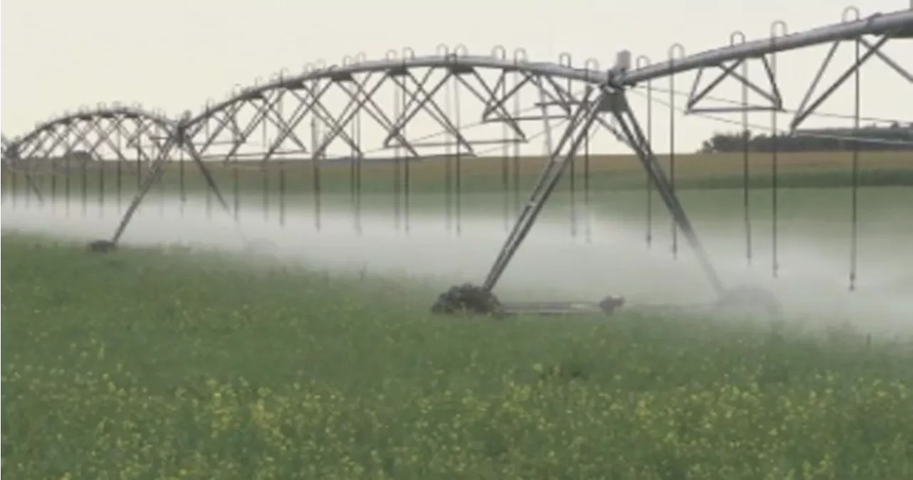 Alberta invests $19M for irrigation infrastructure upgrades