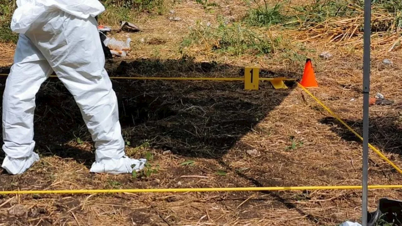 Autoridades confirman localización de 5 fosas clandestinas en la Cuenca del Papaloapan