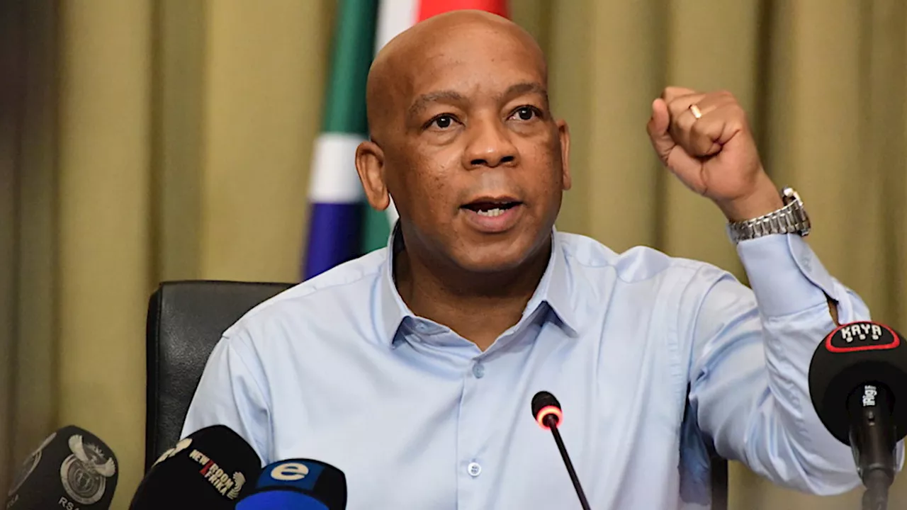 Electricity Minister is lying about the end of loadshedding