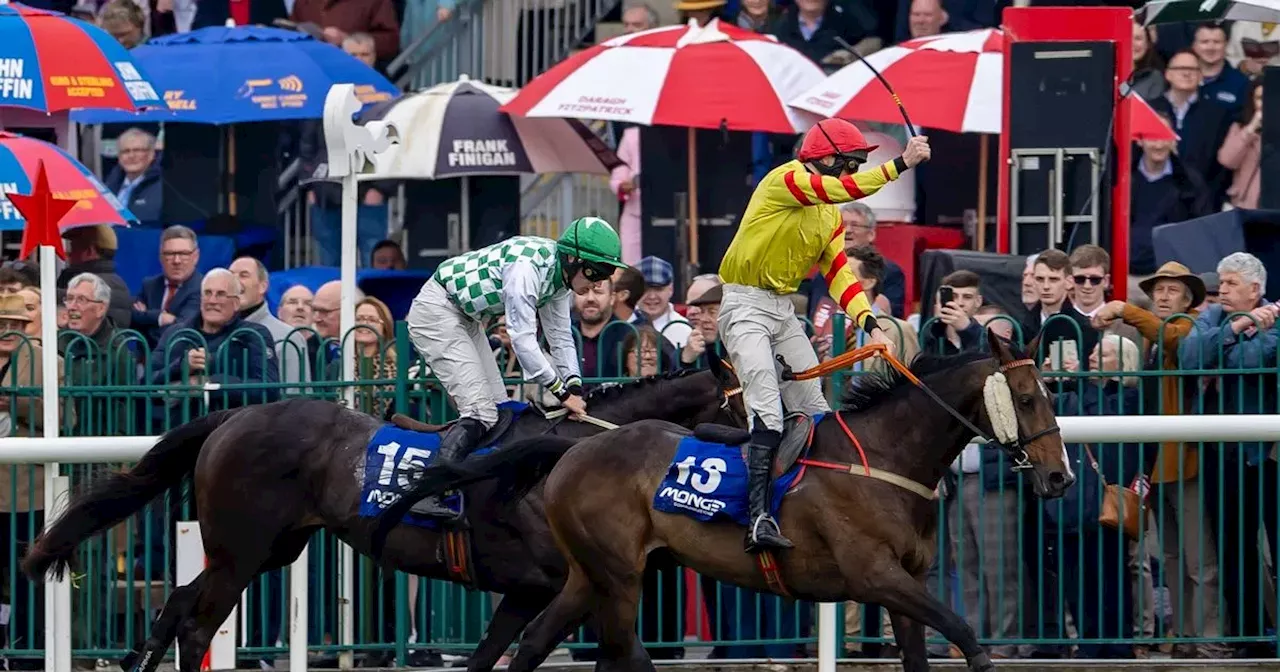 Fairytale victory for 14-year-old horse at Punchestown