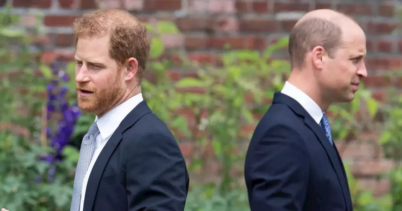 Harry and William 'haven't had a conversation in months' amid reunion hopes