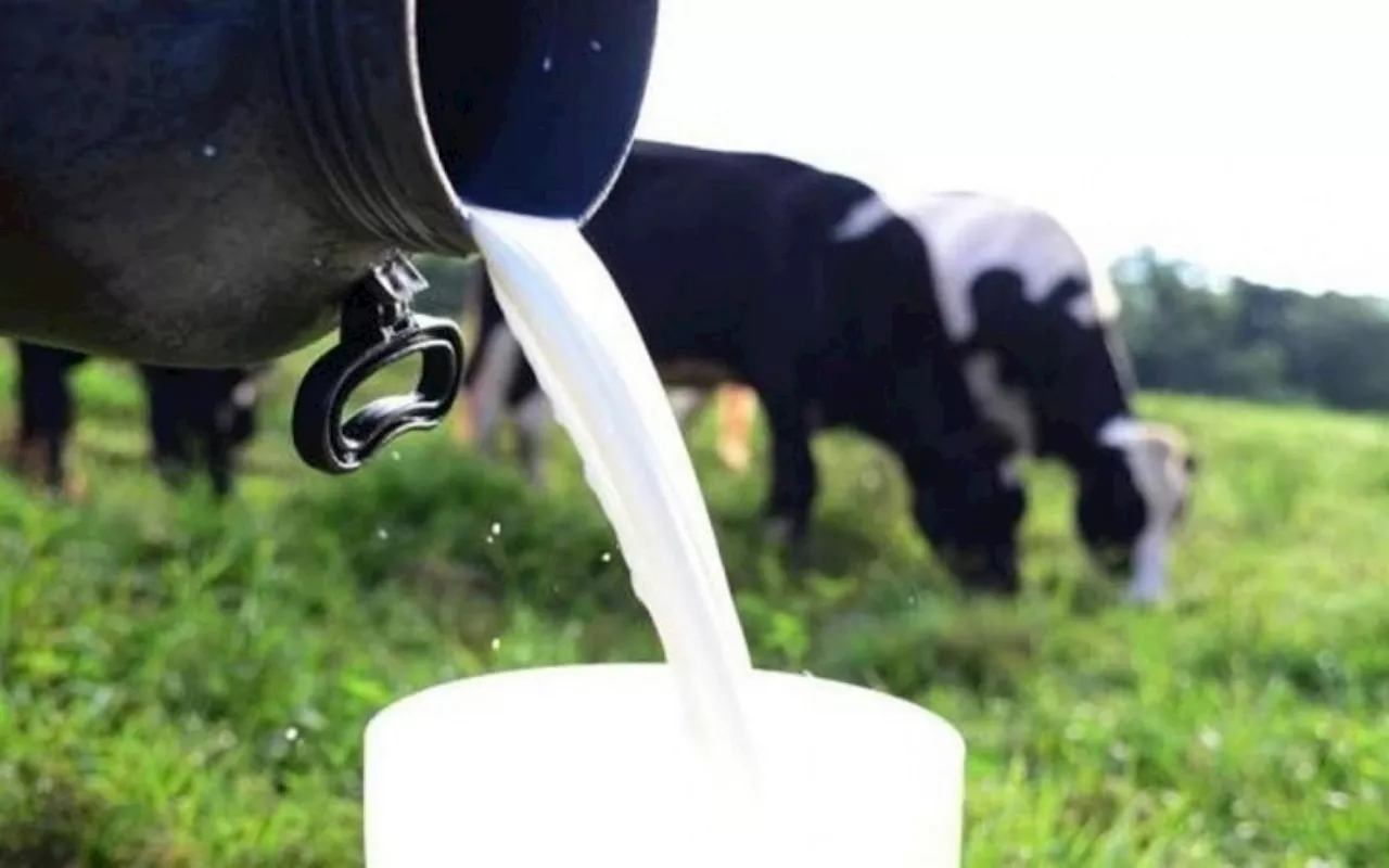 Ministério da Agricultura estuda nova linha de crédito para cooperativas com BNDES