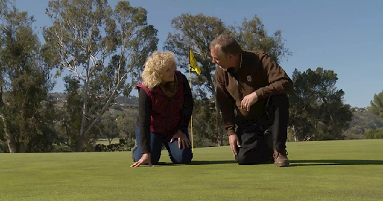 A GROWING PASSION: Growing A Greener Golf Course