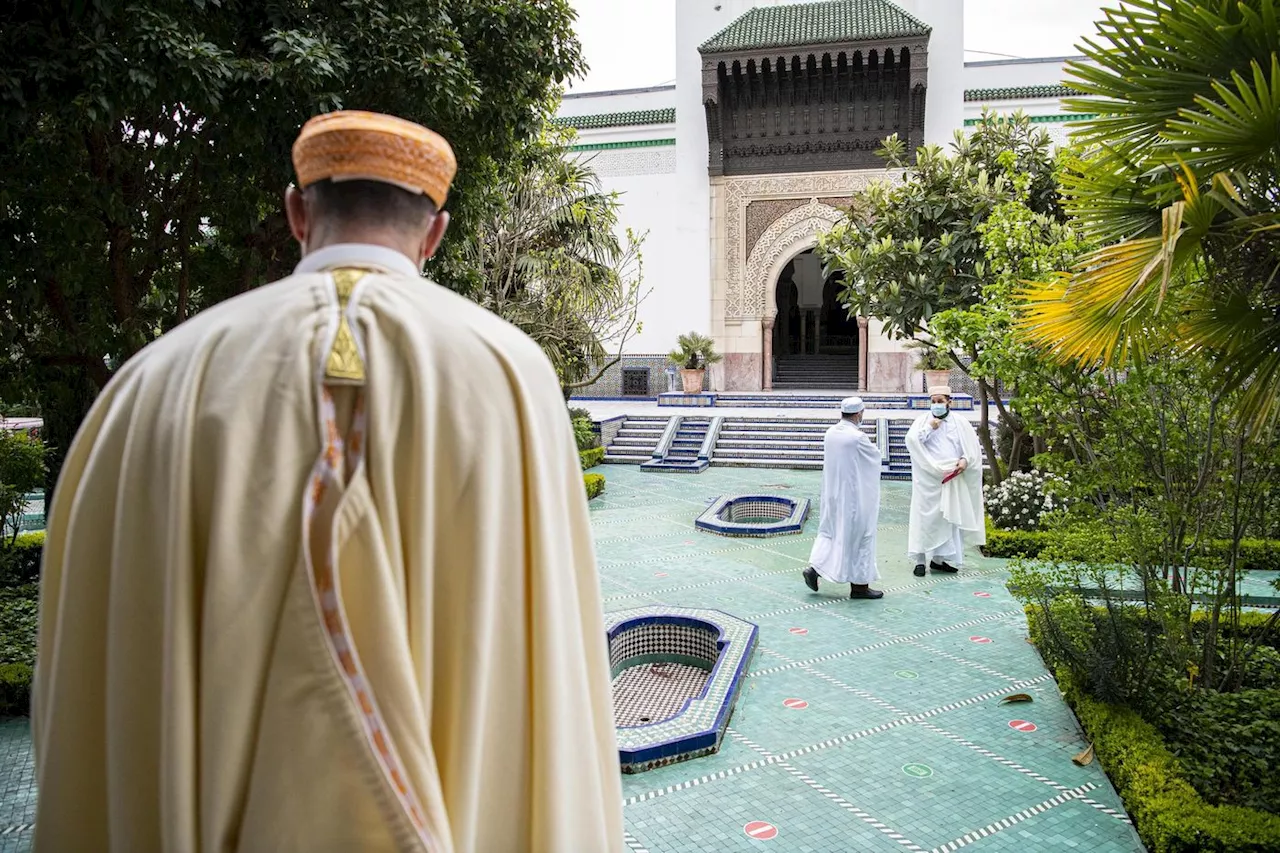 Herbes, fleurs et arbres sacrés : les plantes dans les religions