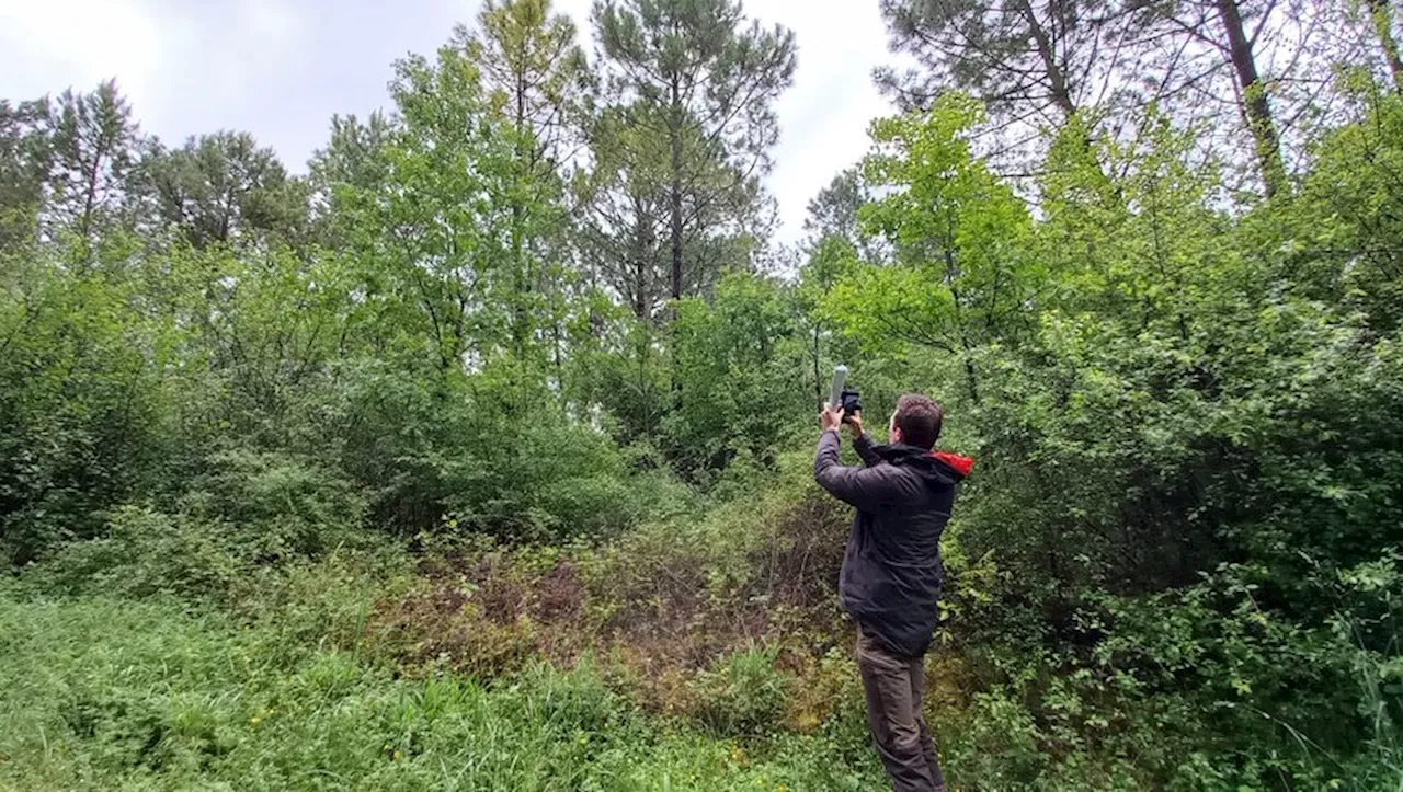 Le CNPF, une aide précieuse pour les propriétaires de forêts