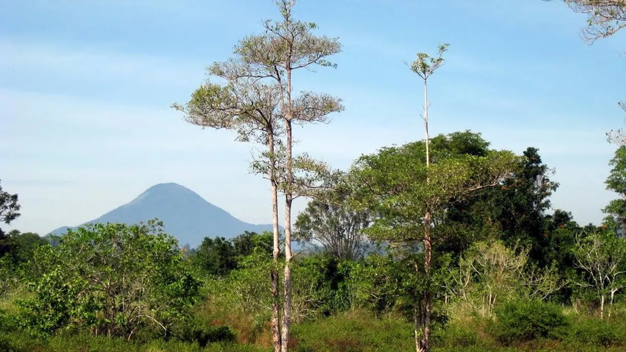 6 Fakta Menarik Gunung Klabat, Gunung Tertinggi di Sulawesi Utara