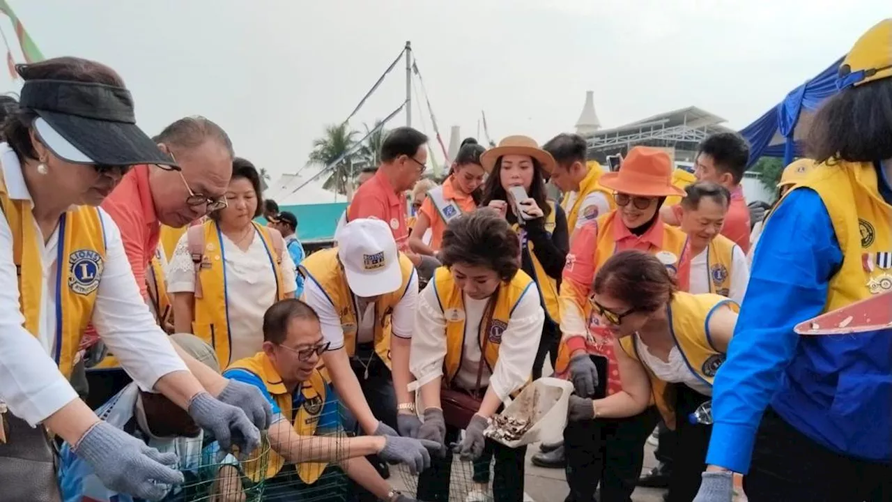 Perkumpulan Lions Indonesia Lakukan Restorasi Kerang Hijau dan Pengendalian Stunting di Jakarta