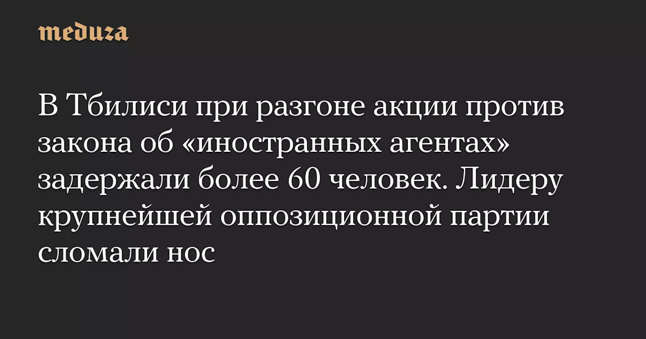 В Тбилиси при разгоне акции против закона об «иностранных агентах» задержали более 60 человек. Лидеру крупнейшей оппозиционной партии сломали нос — Meduza