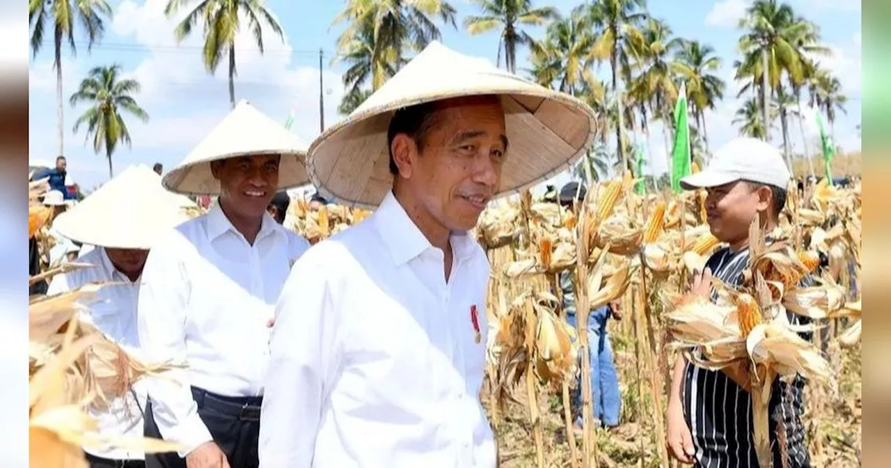 Jokowi Resmikan Bendungan Tiu Suntuk di Sumbawa Barat yang Habiskan Rp1,4 Triliun