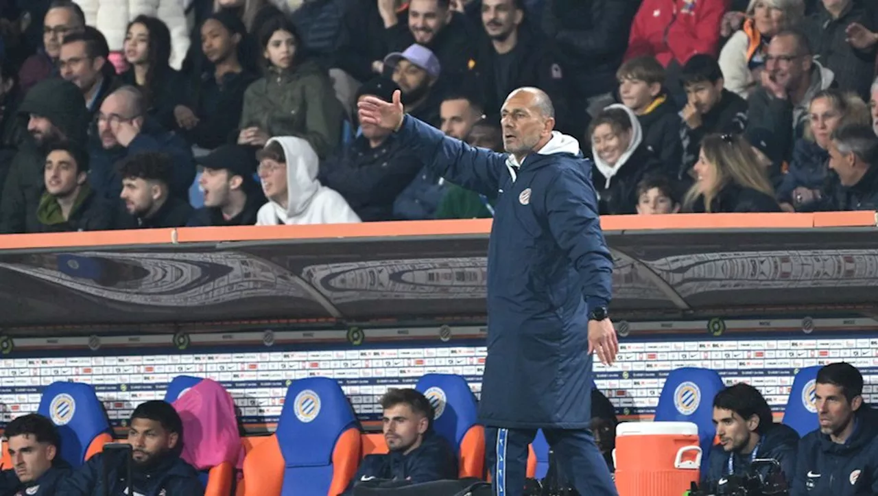 – MHSC : 'L’objectif, c’est de gagner les trois derniers matches', assure Michel Der Zakarian