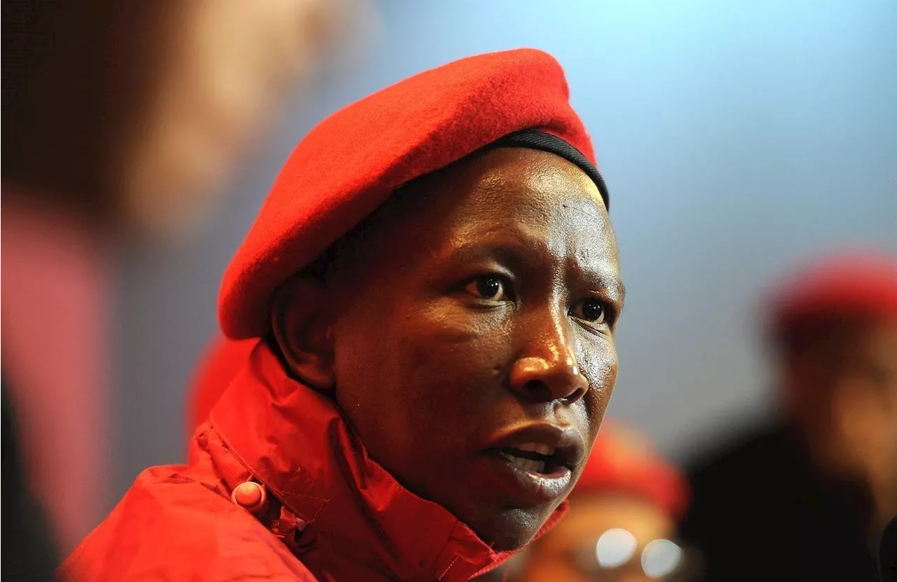 Elections 2024: EFF leader Julius Malema says winning over KZN electorate 'is not going to be easy'