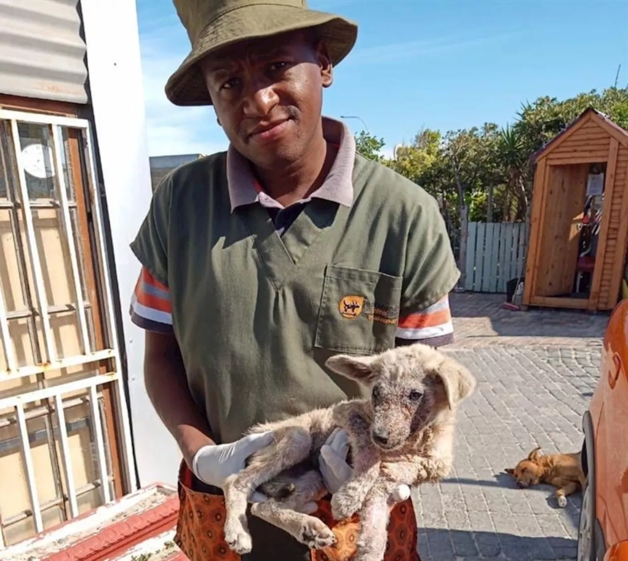 Three-month-old puppy Nala found on Khayelitsha dumpsite beats odds, ready for adoption