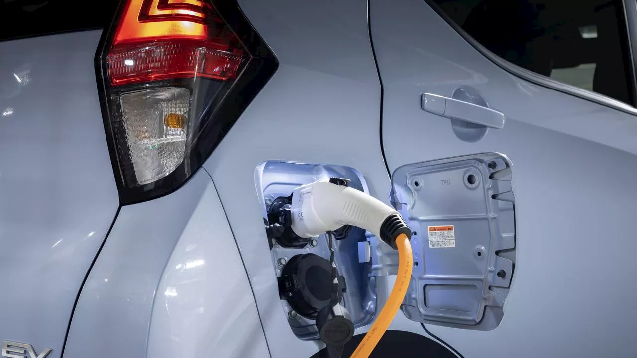 Cut-price EV could revolutionise market