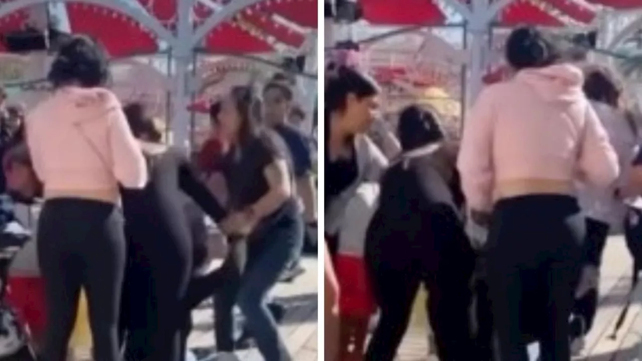 Mums in ugly brawl at Disneyland