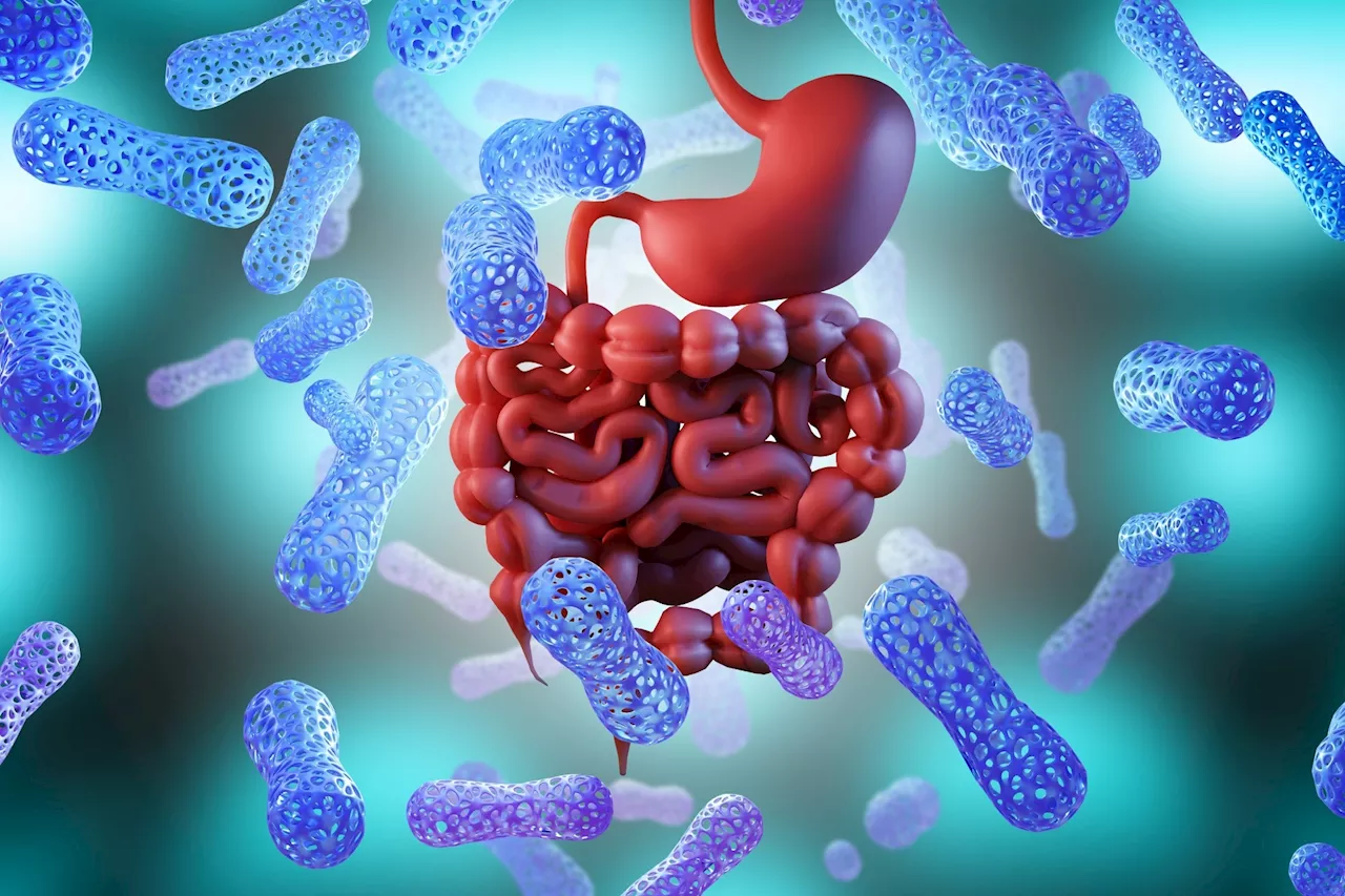 Gut microbiome study challenges established cancer biomarkers, identifies new bacterial links to colorectal cancer