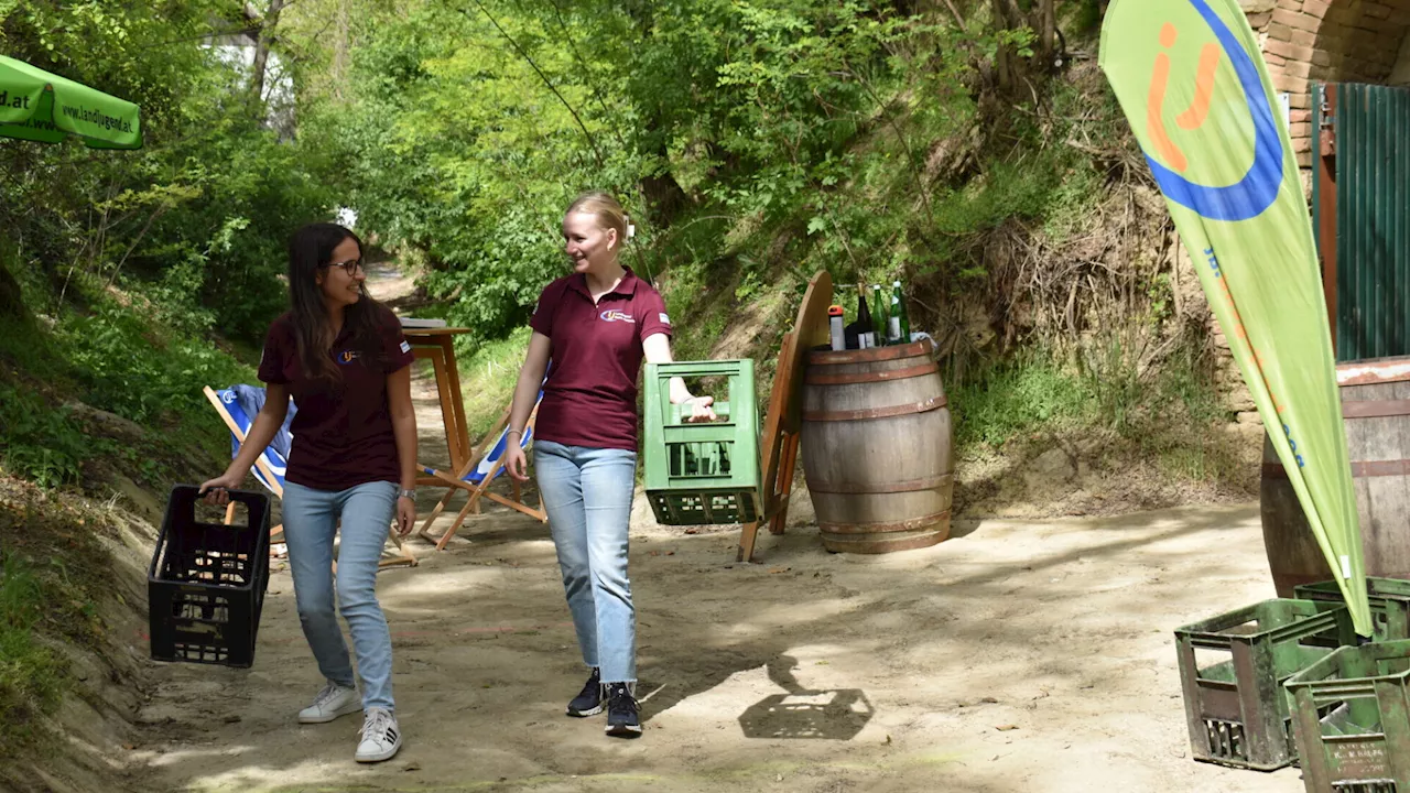 In Haugsdorf wurde mit Weinkisten geschmissen